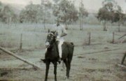 Cattle Stations