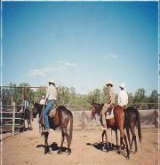 Cattle Stations