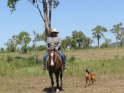 Cattle Stations