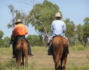 Cattle Stations