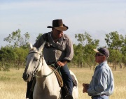 Cattle Stations