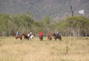 Cattle Stations