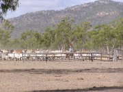 Cattle Stations