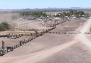 Cattle Stations