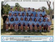 Collinsville State High Schooll